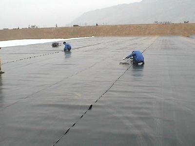 HDPE土工膜膜擔(dān)填埋用料主力軍