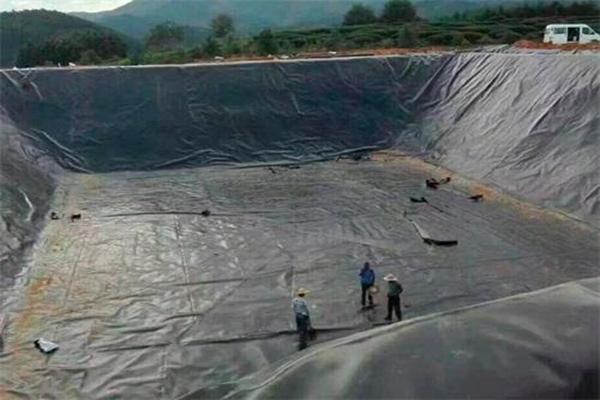魚(yú)塘底部選擇土工膜還是水泥？你需要了解這些！  第2張