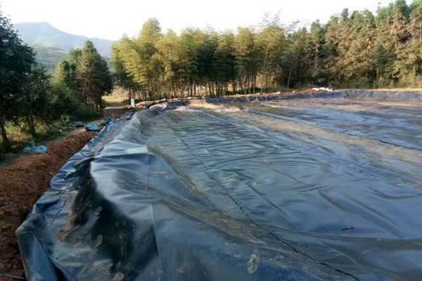 土工膜拆除技巧:輕松掌握拆除方法 第3張