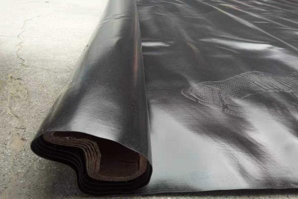 復(fù)雜地形條件下土工膜鋪設(shè)施工工藝 第2張