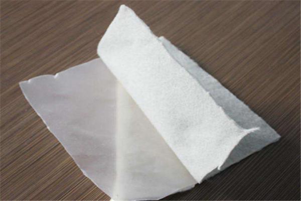 復(fù)合土工膜在重大基礎(chǔ)設(shè)施項(xiàng)目中的實(shí)施經(jīng)驗(yàn)